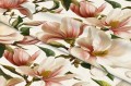 Tkanina Zasłonowa Kwiat Magnolii  szer: 150 cm